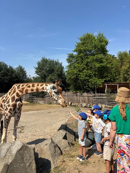 Visite au zoo